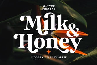 Milk & Honey Font for Branding Projects